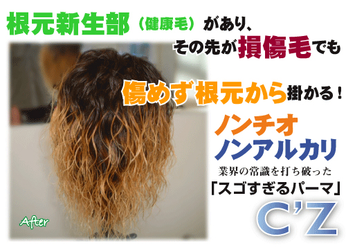 美容商社 美容室専用商品 縮毛矯正/美容師をうならせた!圧倒的な事実の秘密