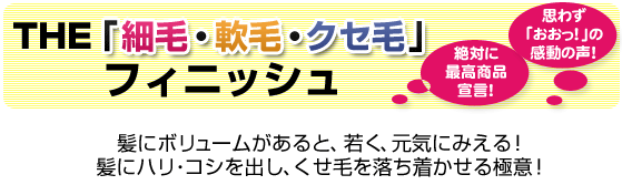 THE「細毛・軟毛・クセ毛」/美容商社 美容室専用商品 フィニッシュ