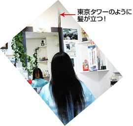 美容商社 美容室専用商品 縮毛矯正/フィニッシュは、使用後ブラッシングで、サラサラ髪に!なります。