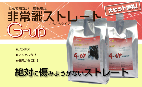 美容商社 美容室 美容室専用商品 プロ専用商品 縮毛矯正 パーマ液 有限会社アイビ 非常識ストレートG-up