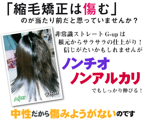 美容商社 美容室専用商品 縮毛矯正/絶対に髪を傷めない縮毛矯正！その秘密は…