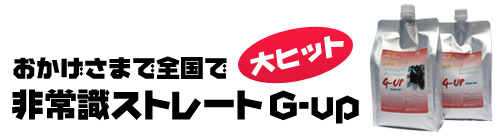 おかけさまで全国大ヒット！非常識ストレート G-UP/美容商社 美容室専用商品 縮毛矯正