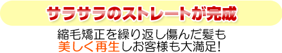 サラサラのストレートが完成/美容商社 美容室専用商品 縮毛矯正