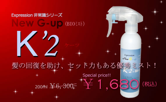 美容商社 美容室 美容室専用商品 プロ専用商品 縮毛矯正 パーマ液 有限会社アイビ 非常識ストレートG-up