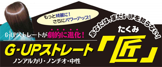 美容商社 美容室 美容室専用商品 プロ専用商品 縮毛矯正 パーマ液 有限会社アイビ 非常識ストレートG-upマスター